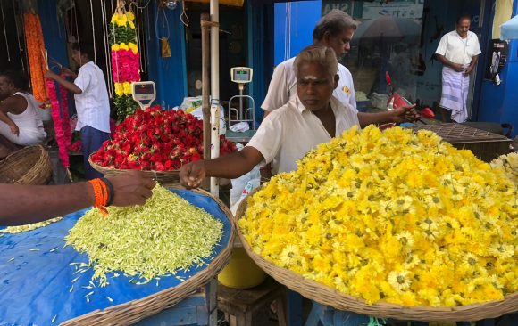 Besuch des Blumenmarktes in Bangalore