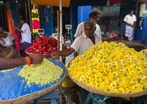 Besuch des Blumenmarktes in Bangalore